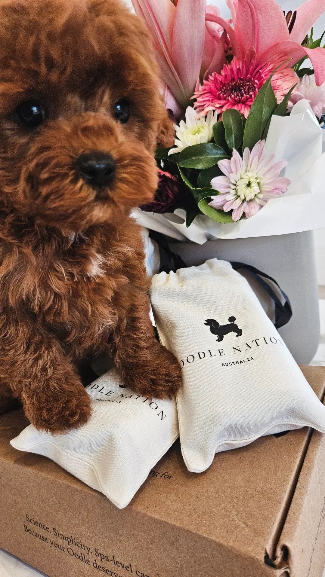 Puppy Packs -50ml travel size