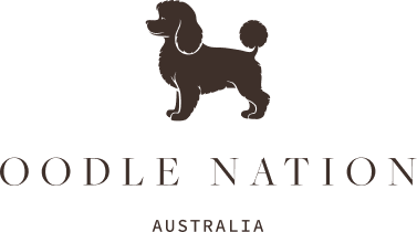 Oodle Nation