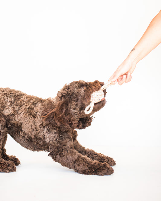Linen Rope Toy