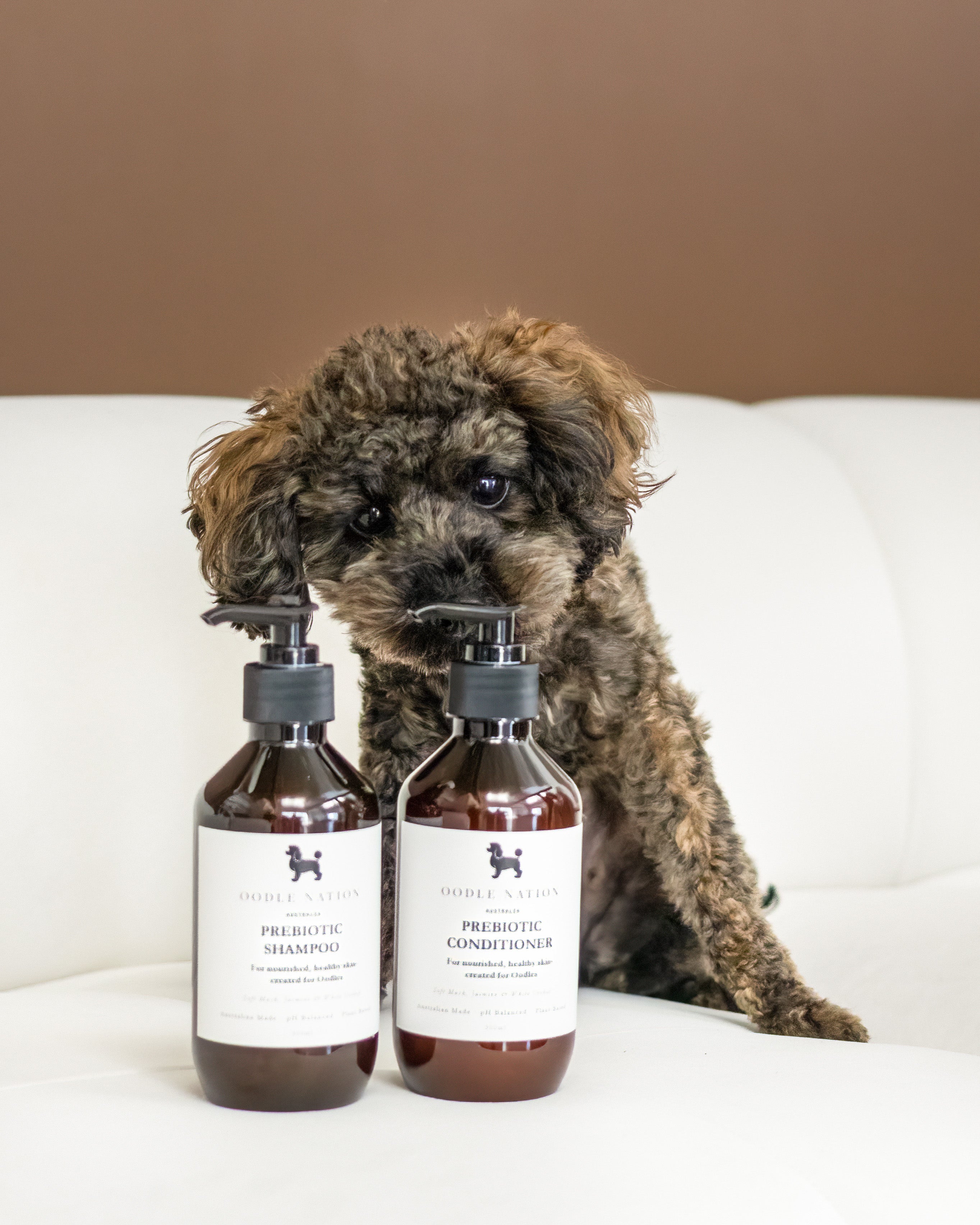 Luxury Oodle Spa Pack