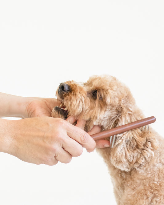 Luxury Oodle Comb
