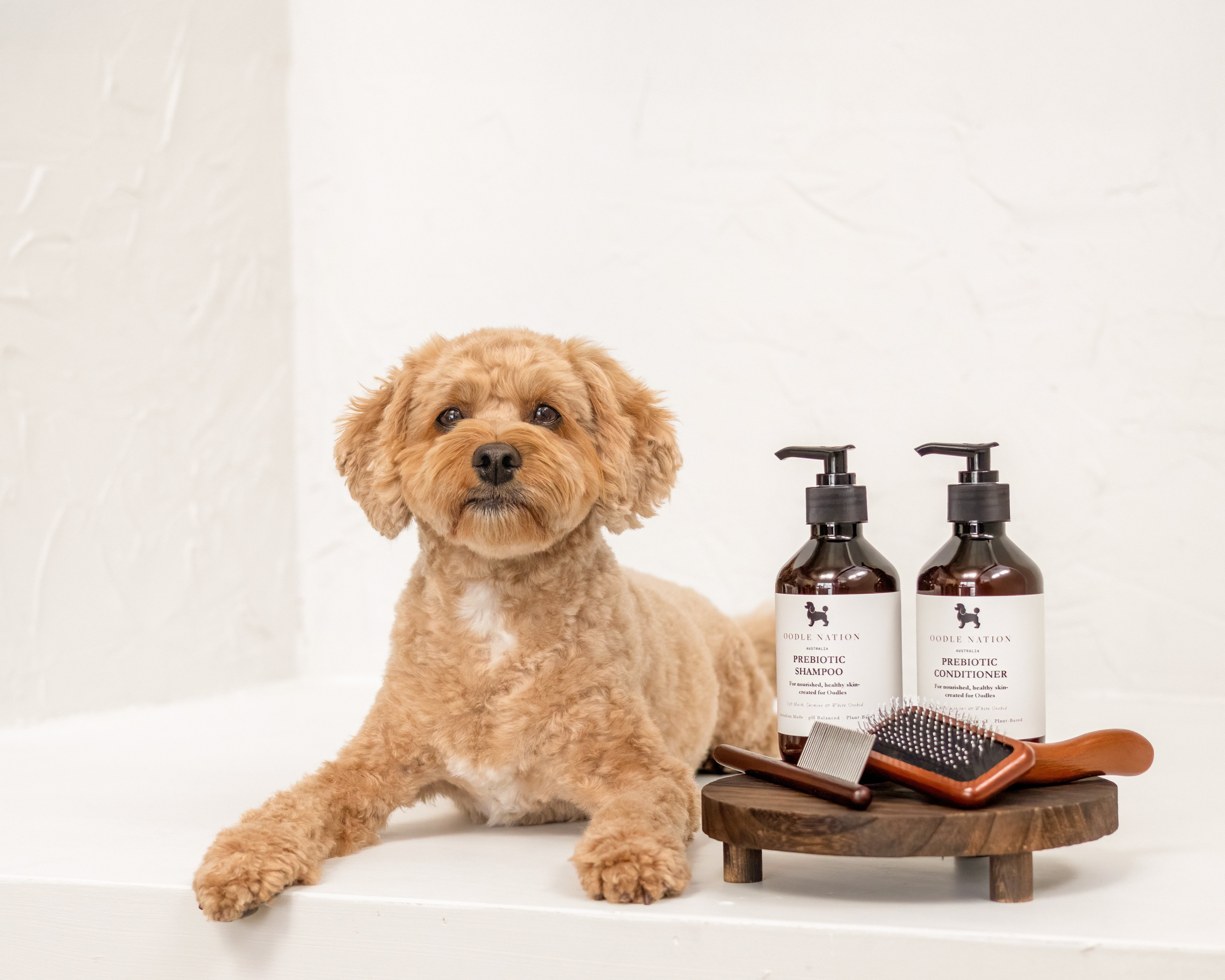 The Signature Duo – Oodle Nation - Main Image