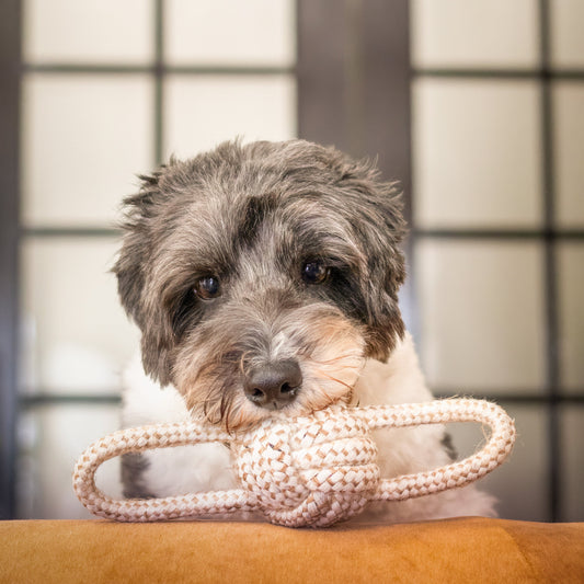 Linen Rope Toy