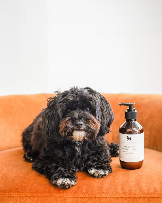Prebiotic Conditioner