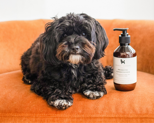 Prebiotic Dog Conditioner