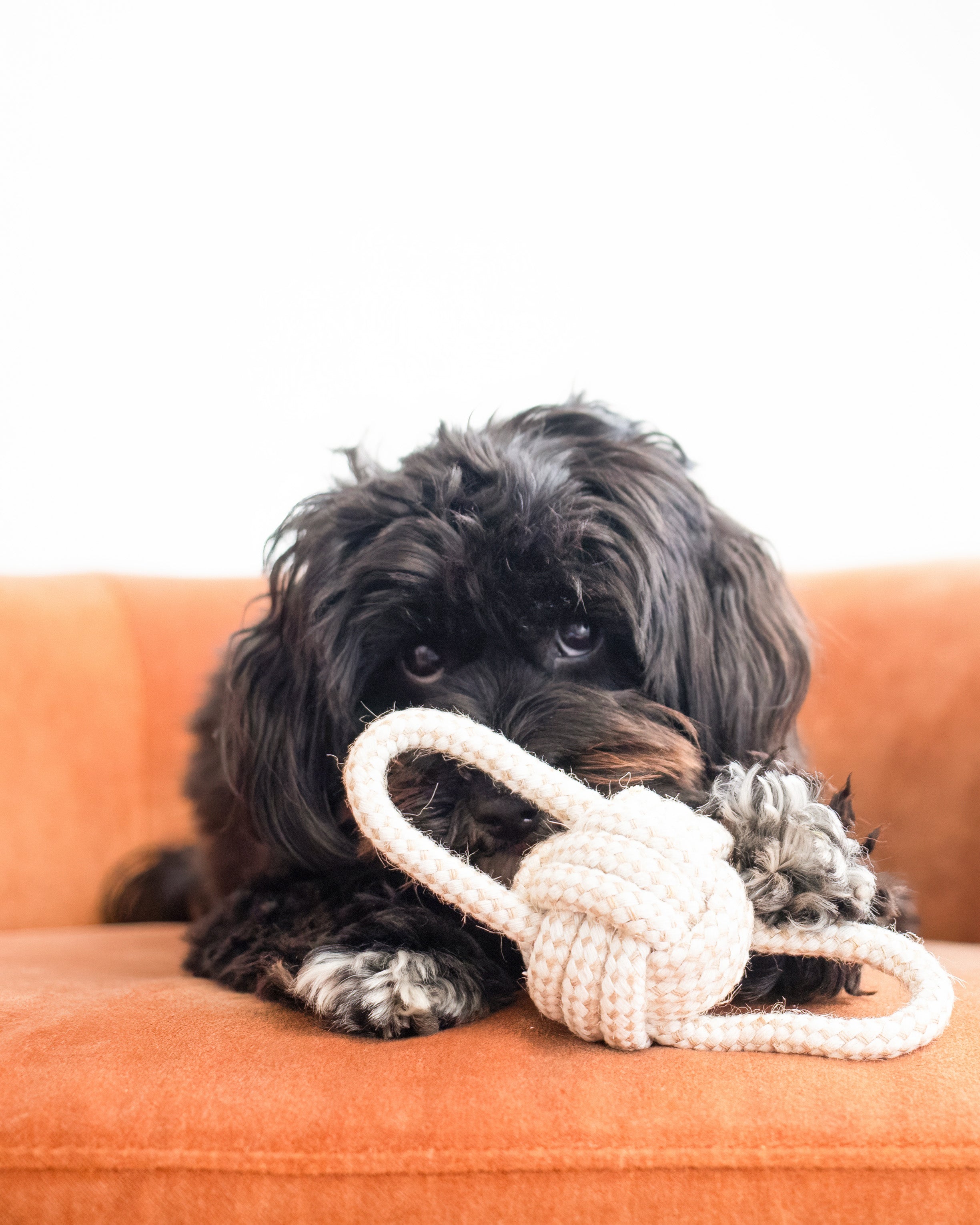 Linen Rope Toy