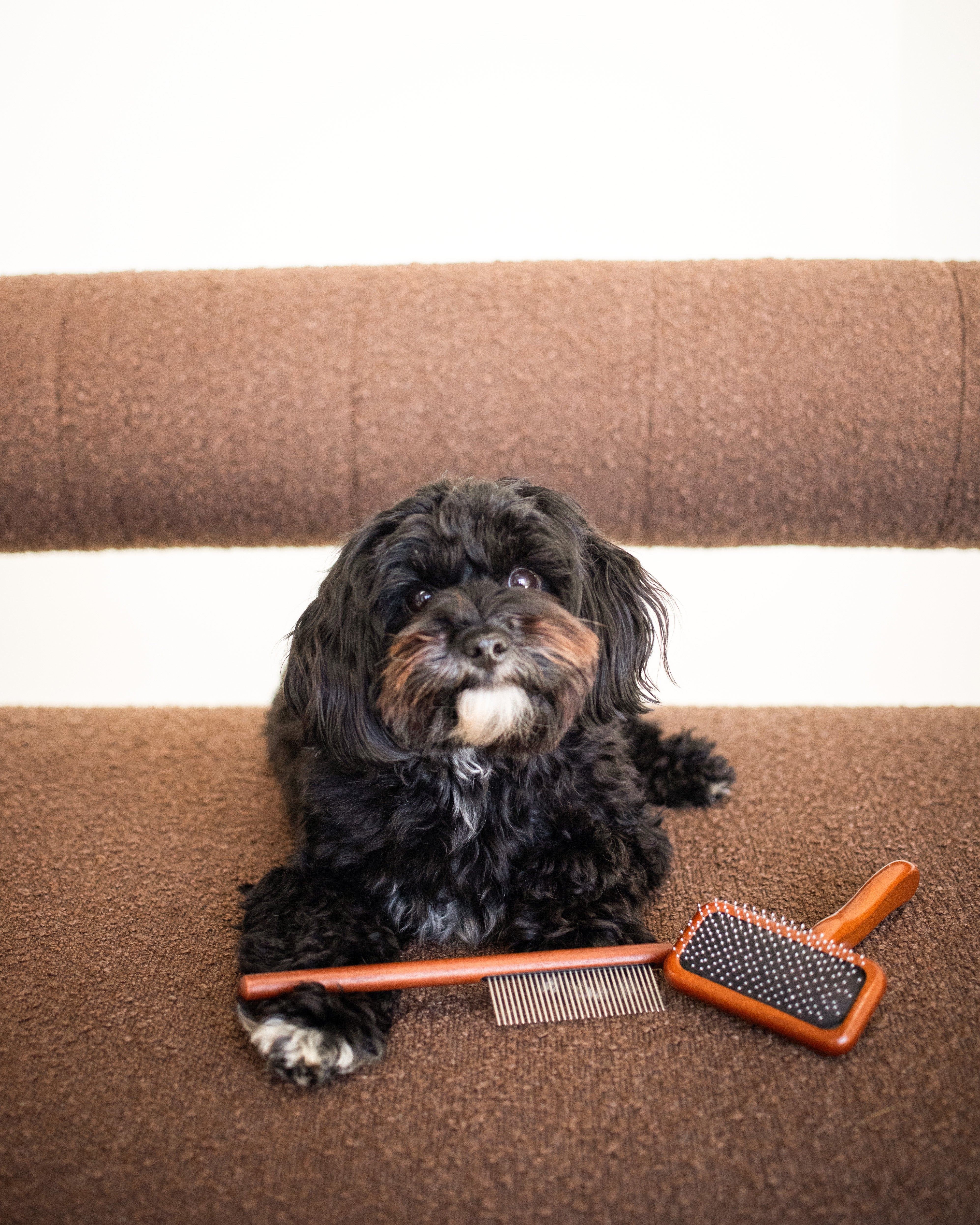 Luxury Oodle Spa Pack